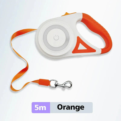 Bright-Paws Dog Leash