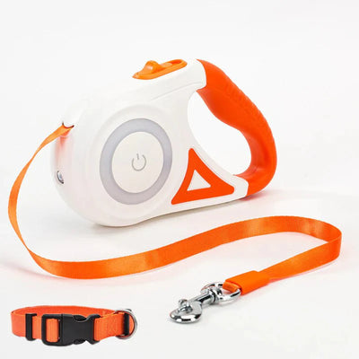 Bright-Paws Dog Leash