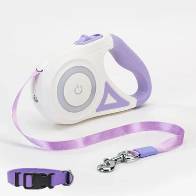 Bright-Paws Dog Leash