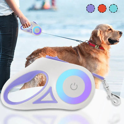 Bright-Paws Dog Leash