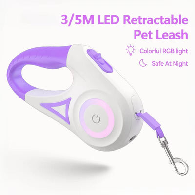 Bright-Paws Dog Leash