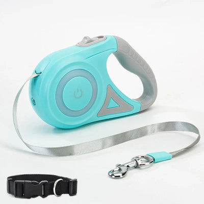 Bright-Paws Dog Leash