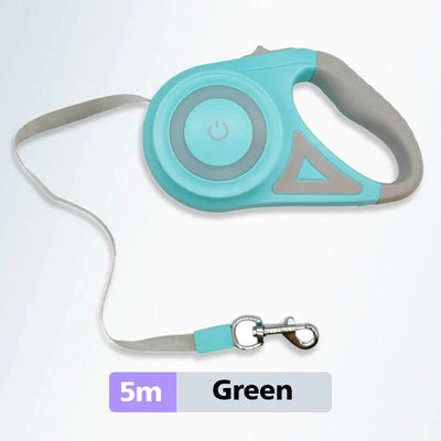 Bright-Paws Dog Leash