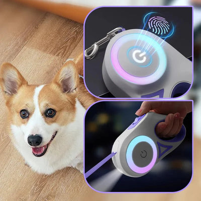 Bright-Paws Dog Leash